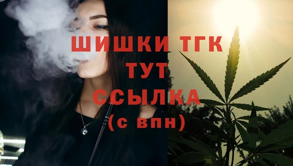 прущие грибы Нефтекумск