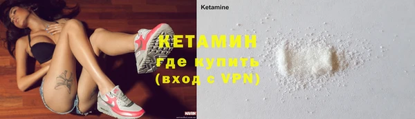 амф Новозыбков