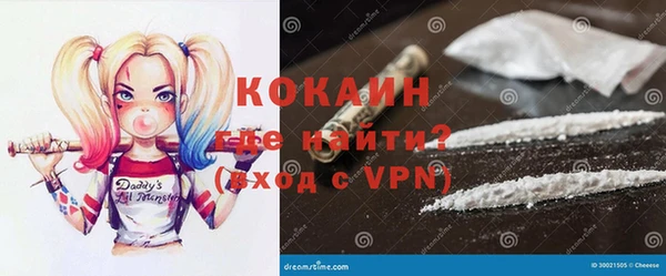 прущие грибы Нефтекумск