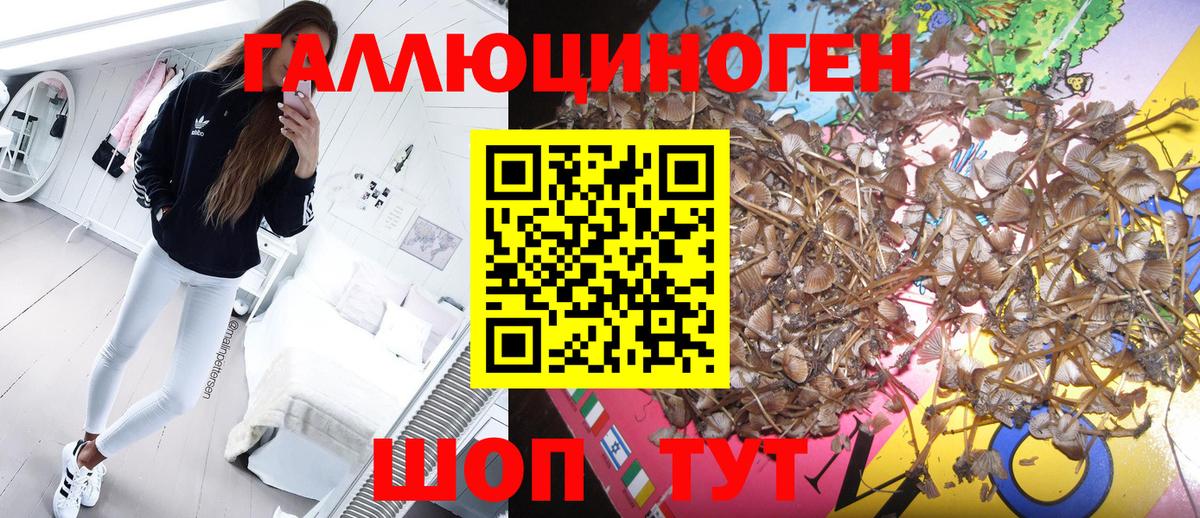Лысьва  Псилоцибиновые грибы Magic Shrooms  Вход с VPN 