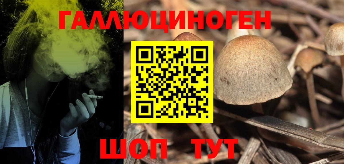 Галлюциногенные грибы Psilocybe  как найти закладки  Лысьва 