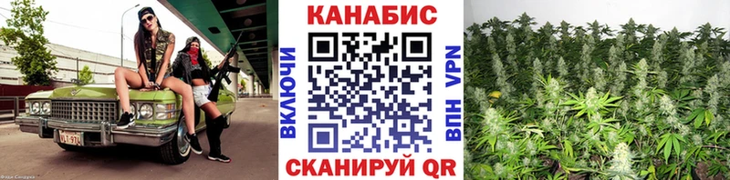 дарк нет телеграм Лысьва Шишки марихуана план